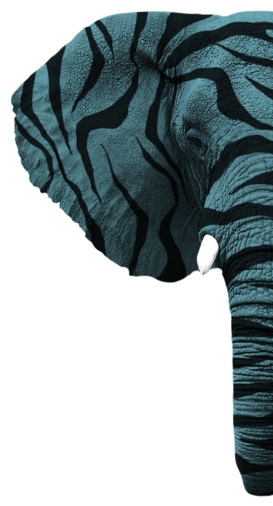 Tête d’éléphant Élefunk à rayures